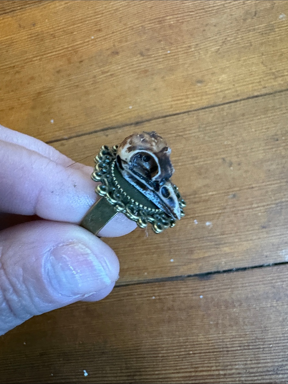 Hand-Crafted Brass-Tone Decorative Ring with Miniature Bird Skull, Adjustable